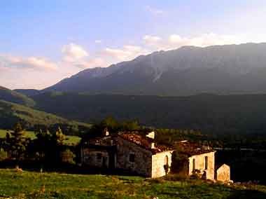Paglieri